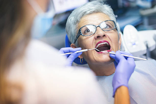 Trusted Steilacoom, WA Holistic Dental Care Services Experts